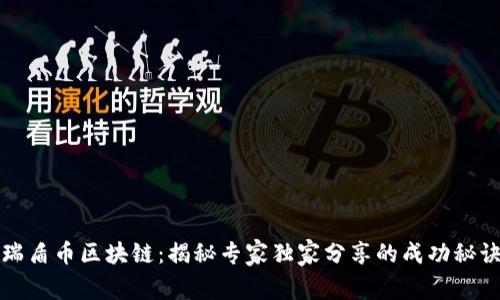瑞盾币区块链：揭秘专家独家分享的成功秘诀