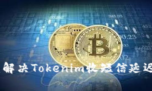 : 专家揭秘：解决Tokenim收短信延迟的独家秘诀