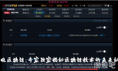 币晓区块链：专家独家揭秘区块链技术的未来秘诀