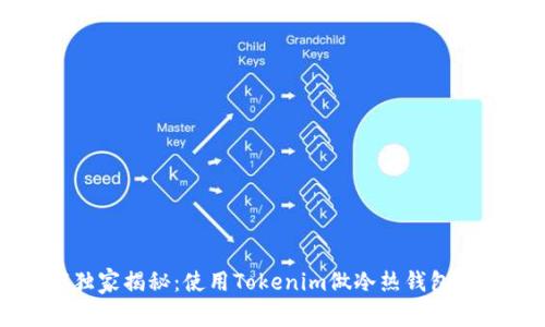 专家独家揭秘：使用Tokenim做冷热钱包的秘诀