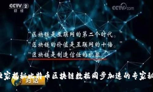  独家揭秘比特币区块链数据同步加速的专家秘诀