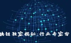 2023年民用区块链独家揭秘：行业专家分享最新发