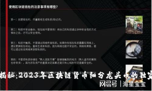 专家揭秘：2023年区块链货币细分龙头币的独家秘诀