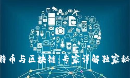 比特币与区块链：专家详解独家秘诀！
