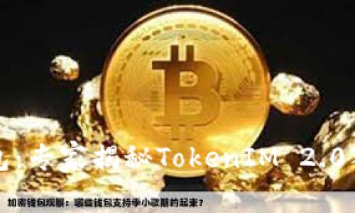 流量宝盒钱包：专家揭秘TokenIM 2.0独家使用秘诀