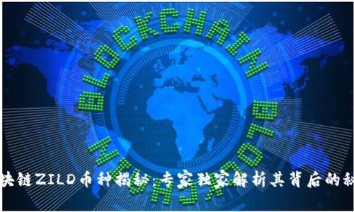 区块链ZILD币种揭秘：专家独家解析其背后的秘诀