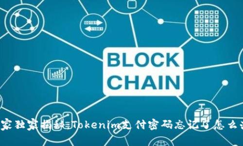 专家独家揭秘：Tokenim支付密码忘记了怎么办？