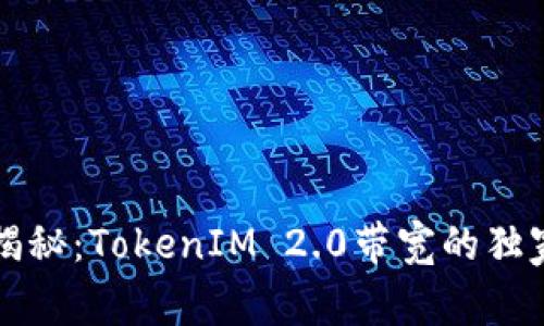 专家揭秘：TokenIM 2.0带宽的独家秘诀