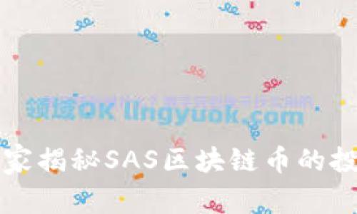 专家独家揭秘SAS区块链币的投资秘诀