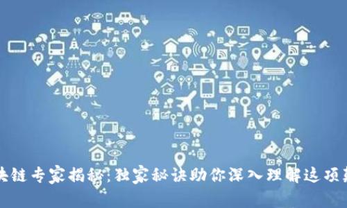 比特币区块链专家揭秘：独家秘诀助你深入理解这项颠覆性技术