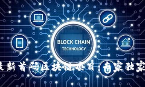 揭秘2023年最新首码区块链项目：专家独家分享投资秘诀