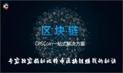 专家独家揭秘比特币区块链赚钱的秘诀