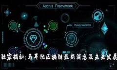 专家独家揭秘：马耳他区块链最新消息及未来发