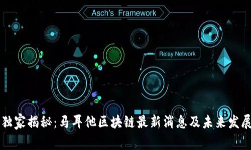 专家独家揭秘：马耳他区块链最新消息及未来发展秘诀