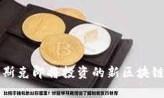 专家揭秘：马斯克即将投资的新区块链币独家秘