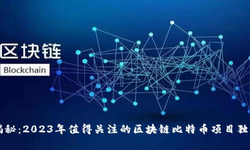 专家揭秘：2023年值得关注的区块链比特币项目独家秘诀