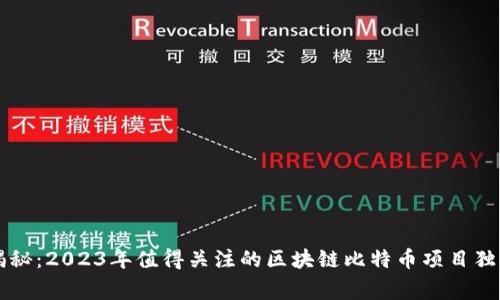 专家揭秘：2023年值得关注的区块链比特币项目独家秘诀