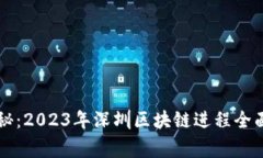 专家独家揭秘：2023年深圳区块链进程全面盘点与