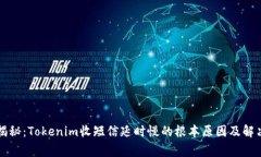 独家揭秘：Tokenim收短信延时慢的根本原因及解决