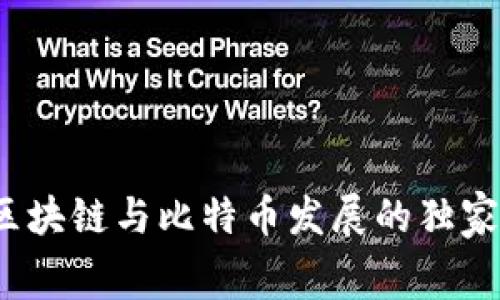 专家揭示：区块链与比特币发展的独家内幕与秘诀