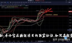 专家揭秘：币小宝区块链项目的独家秘诀，如何