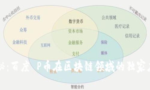 专家揭秘：百度 P币在区块链领域的独家应用秘诀