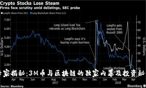 专家揭秘：3M币与区块链的独家内幕及投资秘诀