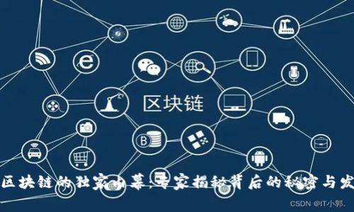 比特币区块链的独家内幕：专家揭秘背后的秘密与发展趋势