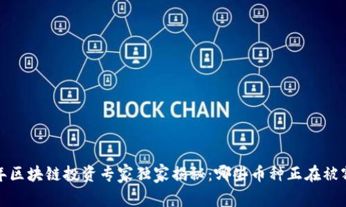 2023年区块链投资专家独家揭秘：哪些币种正在被割韭菜？