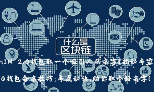 如何为TokenIM 2.0钱包取一个吸引人的名字？揭秘专家的独家秘诀!

TokenIM 2.0钱包命名技巧：专属秘诀，助你取个好名字！