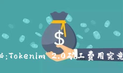 专家独家揭秘：Tokenim 2.0矿工费用究竟是慢还是快？