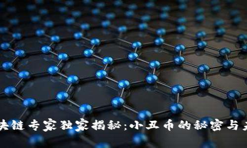 区块链专家独家揭秘：小丑币的秘密与未来