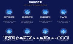 专家独家揭秘：云币区块链的秘诀与未来