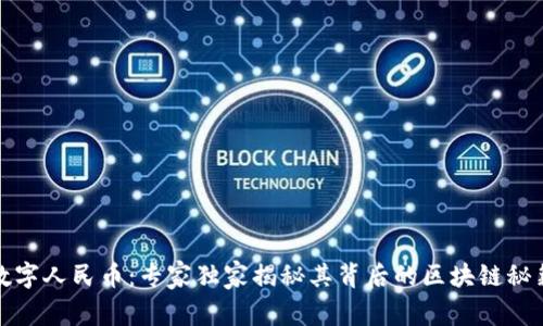 数字人民币：专家独家揭秘其背后的区块链秘籍