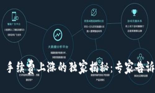 Tokenim 2.0 手续费上涨的独家揭秘：专家告诉你背后的秘诀