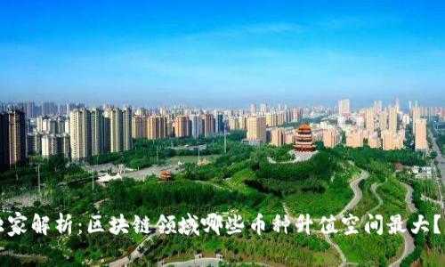 2023年专家独家解析：区块链领域哪些币种升值空间最大？揭秘投资秘诀！