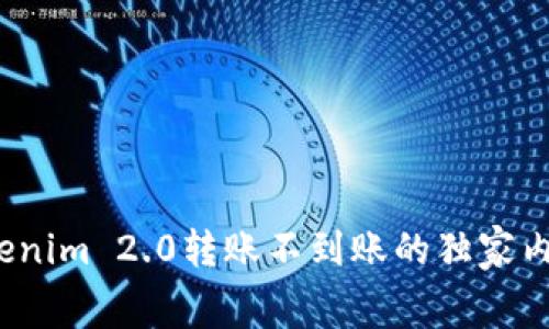 专家揭秘：Tokenim 2.0转账不到账的独家内幕与解决秘诀