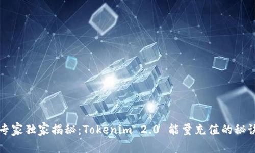 专家独家揭秘：Tokenim 2.0 能量充值的秘诀