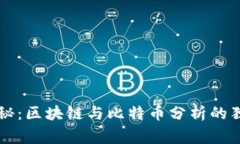 专家揭秘：区块链与比特币分析的独家秘诀