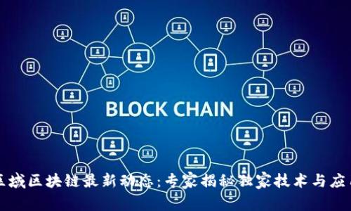 中国区域区块链最新动态：专家揭秘独家技术与应用秘诀