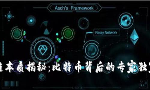 区块链本质揭秘：比特币背后的专家独家秘诀