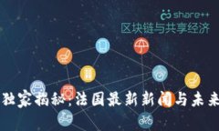 区块链专家独家揭秘：法国最新新闻与未来趋势