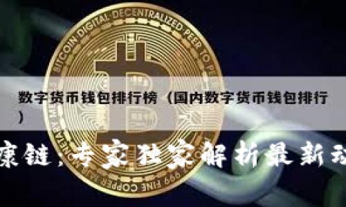 揭秘区块链健康链：专家独家解析最新动态与发展秘诀