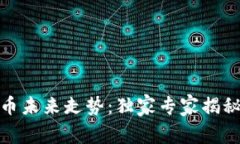 : 区块链币未来走势：独家专家揭秘投资秘诀