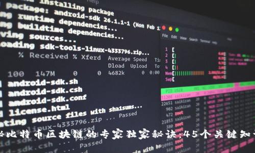 揭秘比特币区块链的专家独家秘诀：45个关键知识点