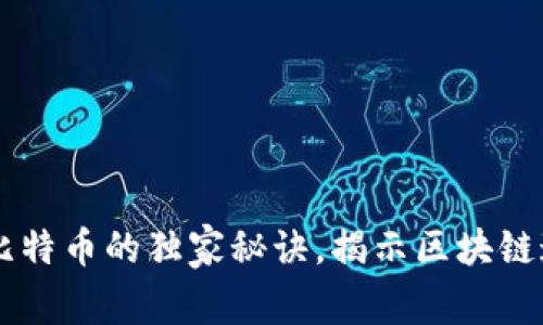 专家揭秘：NFT与比特币的独家秘诀，揭示区块链通证的本质与前景