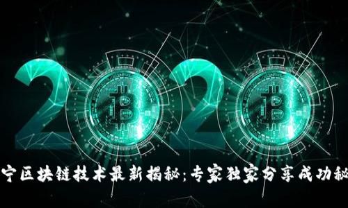 苏宁区块链技术最新揭秘：专家独家分享成功秘诀