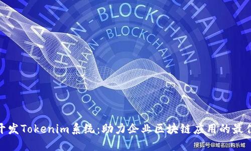 定制开发Tokenim系统：助力企业区块链应用的最佳选择