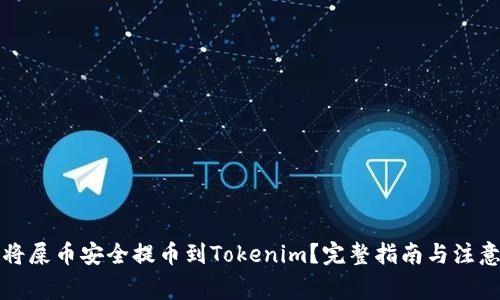 如何将屎币安全提币到Tokenim？完整指南与注意事项