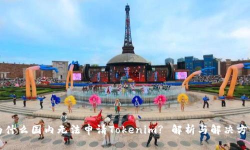 为什么国内无法申请Tokenim? 解析与解决方案